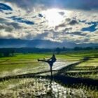 Muay Thai Training & Accommodation @ Sitjemam | PAI, THAILAND