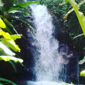 A gushing waterfall in Doi Inthanon National Park.