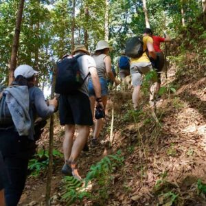 backpackers-trekking-in-the-forest-Doi-Inthanon-Thailand
