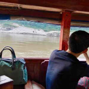 Elephants spotted on the shore, Mekong Slow Boat Cruise