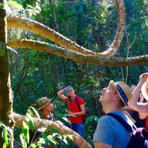Doi Inthanon, Thailand