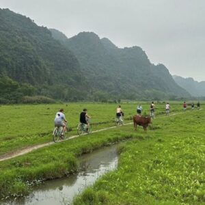 People cycling through green landscapes, Halong Hideaway, Vietnam.