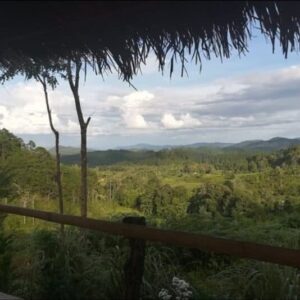 View from the homestay, Doi Inthanon.
