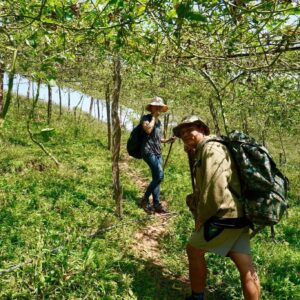 Trekking in Doi Inthanon, Thailand.
